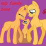 Mlp family base