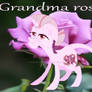 Grandma rose