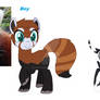 Zoo ponies Adoptables 1 closes