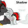 Shadilver's Family2