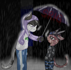 One rainy night