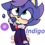 Indigo the hedgecat