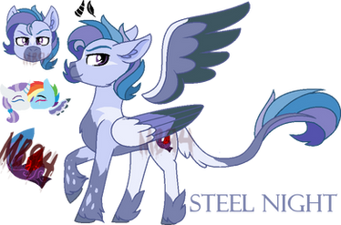 Steel Night