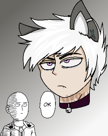Chad: OPM The Raccoon Hoodlum