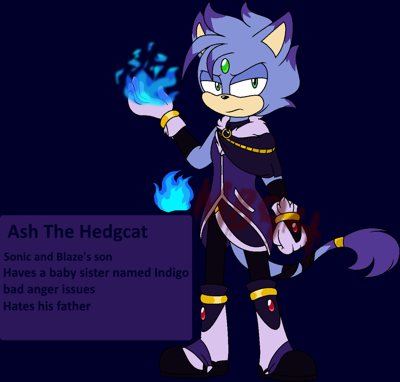Ash The Hedgecat 2023