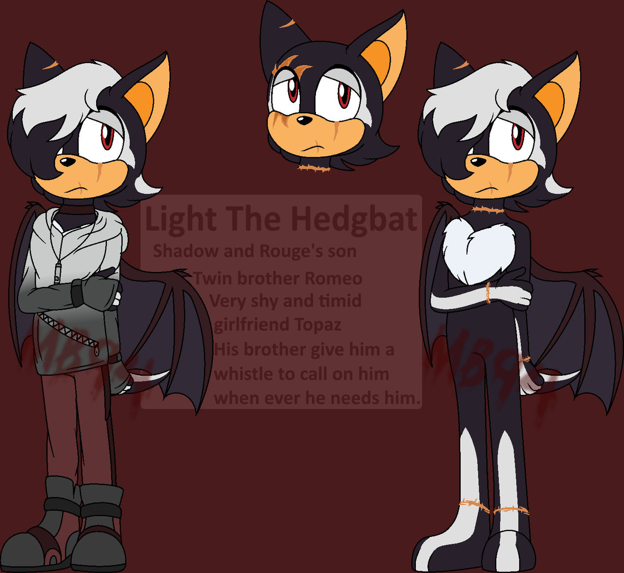 Light The Hedgbat