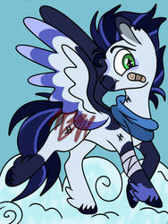 Soarin