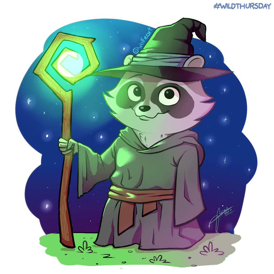 Wise Racoon Wizard Raccoon by wolfiepizza on DeviantArt