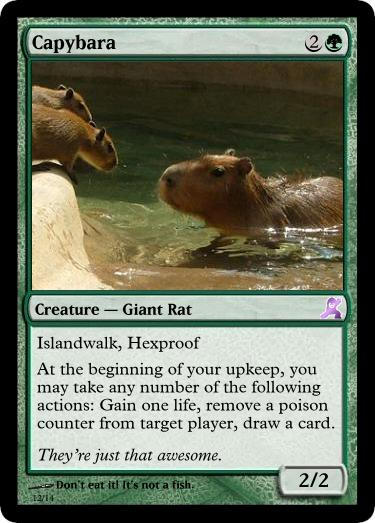 capybara mtg card Day 1 of Creating a Capybara Card Everyday : r/custommagic