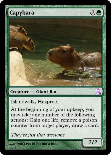 capybara mtg card The Lost Caverns of Ixalan Prerelease is this weekend! The set even has capybaras! Check out our website to pre-register for events!, #mtglci #capybara #mtg The Lost Caverns of Ixalan (LCI) #175 Illustrated by Ilse Gort Magic Card Deck Box for MTG