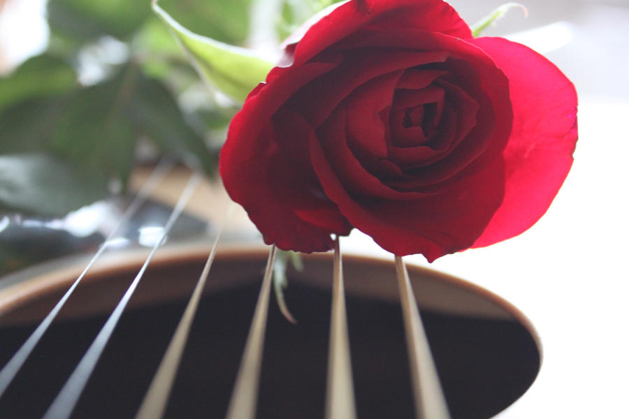 String of roses. by Ella-Jade on DeviantArt
