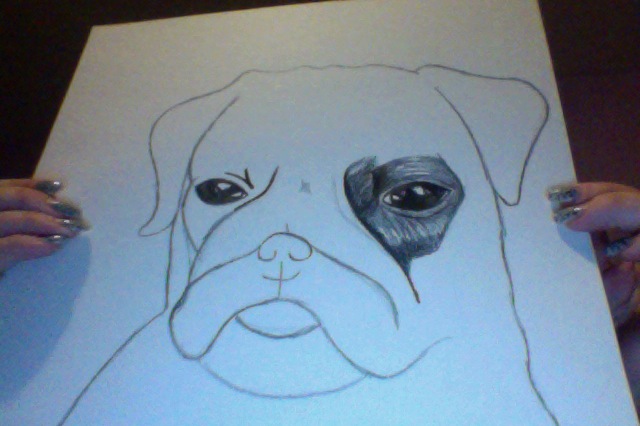 Pug WIP