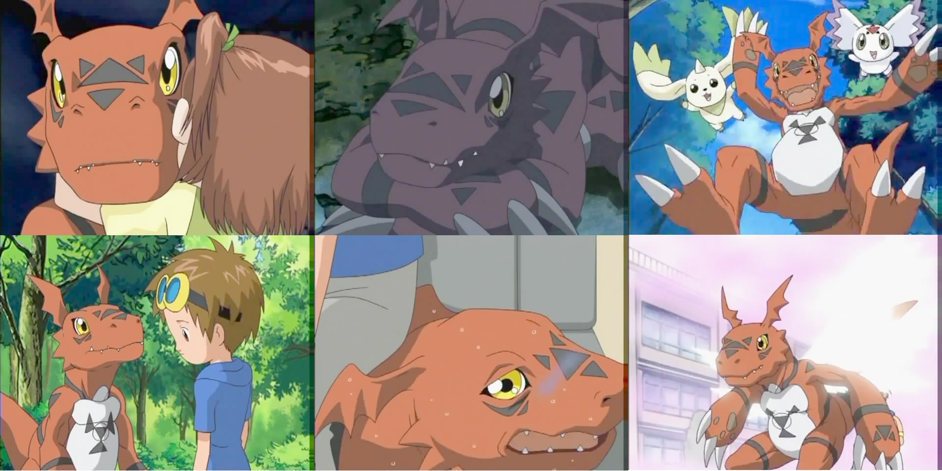 Digimon-Guilmon Collage 1