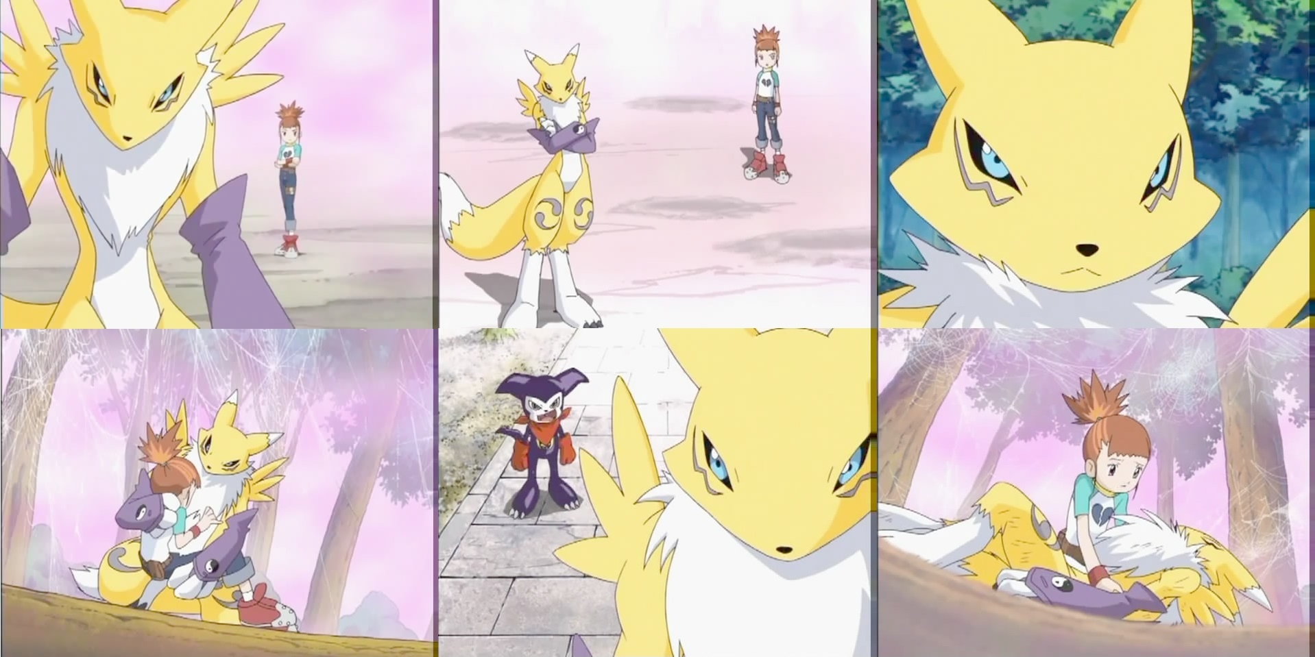 Digimon Renamon R Digimon-Renamon Collage by GiuseppeDiRosso on DeviantArt