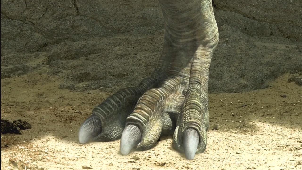 The Dino King-TarbosaurusFeet by GiuseppeDiRosso on DeviantArt