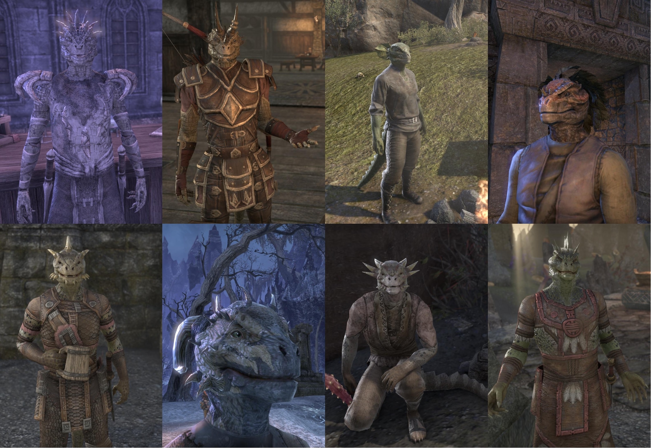 ESO-Argonian Montage