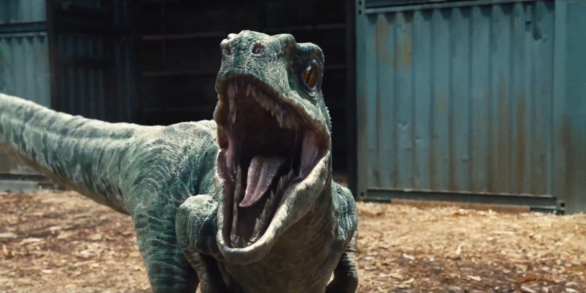 Jurassic World Raptor By Giuseppedirosso On Deviantart Jurassic World Raptor By Giuseppedirosso On Deviantart