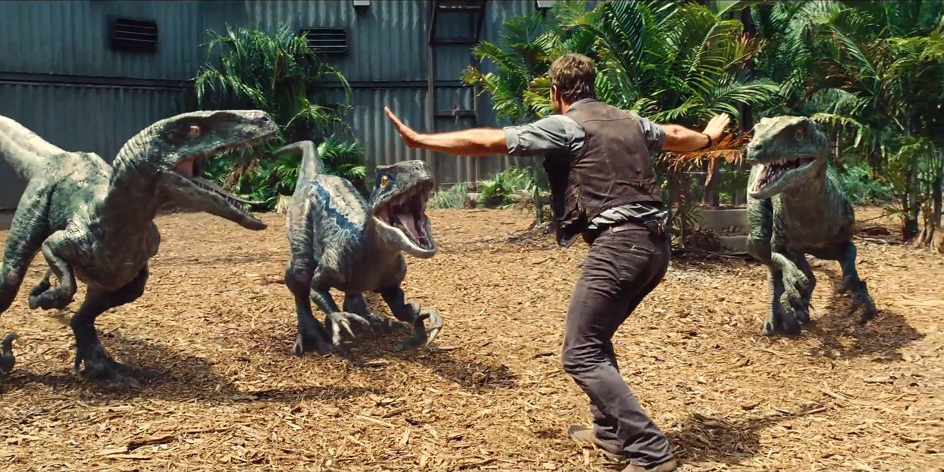 Jurassic World 2015-Velociraptors 1