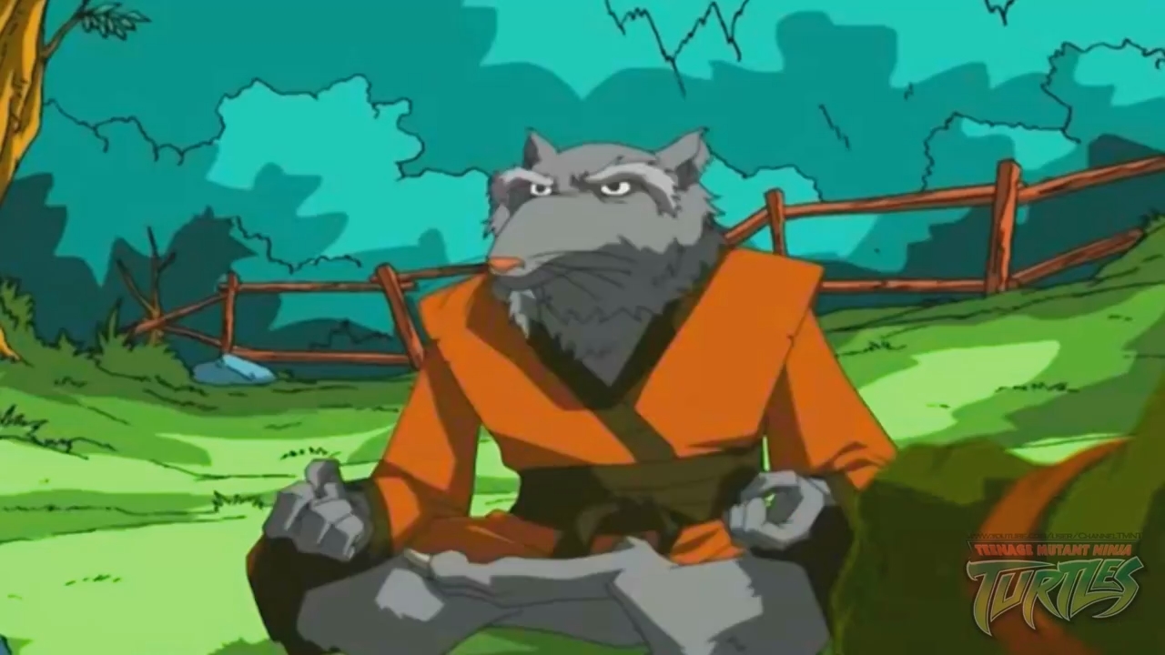 TMNT2003-Splinter 1 by GiuseppeDiRosso on DeviantArt