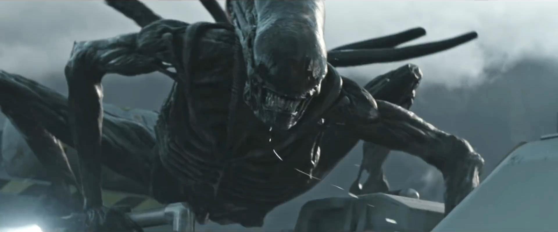 Alien Covenant-Xenomorph