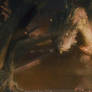 The Hobbit-Smaug 15