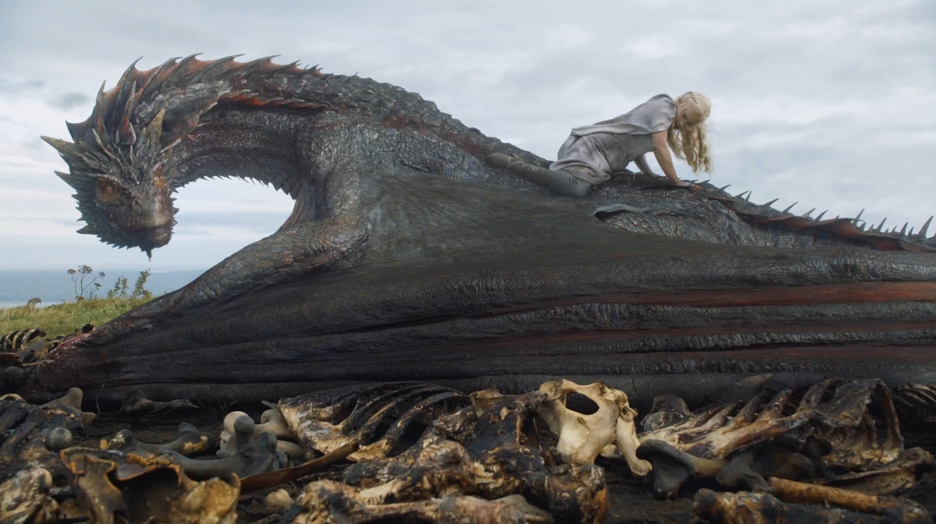 Drogon 8