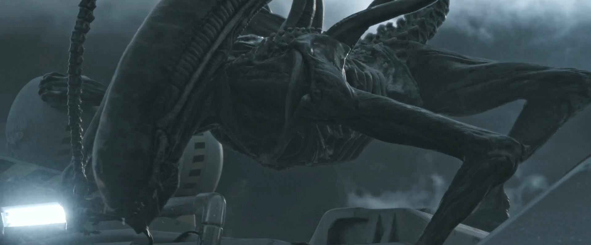 Alien Covenant-Xenomorph 6 by GiuseppeDiRosso on DeviantArt