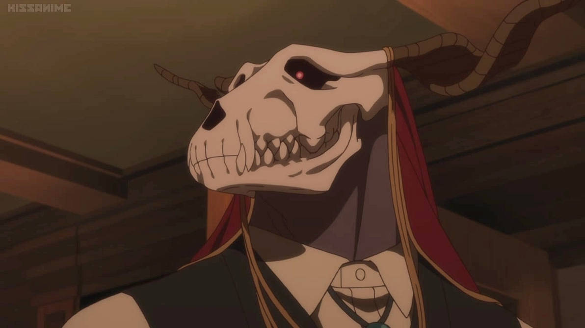 The Ancient Magus' Bride (OVA) - I drink and watch anime