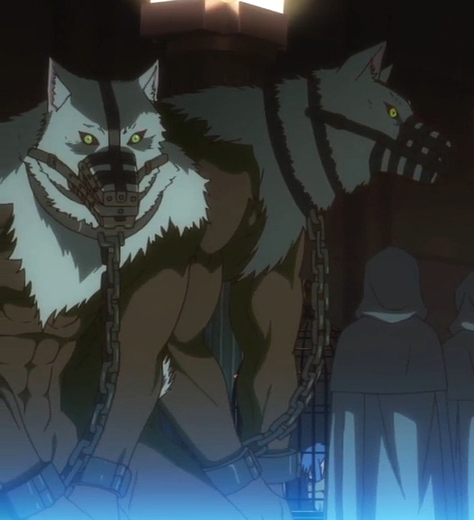 Ancient Magus' Bride S1 E1-Werewolves