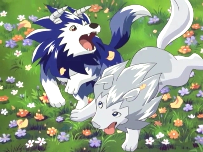Monster Rancher Greywolf Tiger By GiuseppeDiRosso On DeviantArt monster-rancher-greywolf-tiger-by-giuseppedirosso-on-deviantart