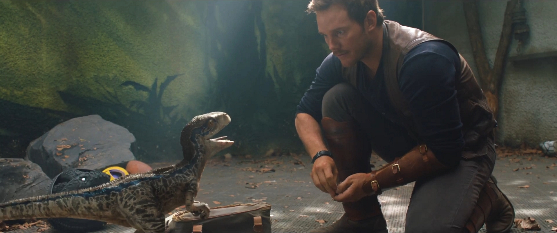 Jurassic World Fallen Kingdom Baby Blue 2 By Giuseppedirosso On Deviantart Jurassic World Fallen Kingdom Baby Blue 2 By Giuseppedirosso On Deviantart