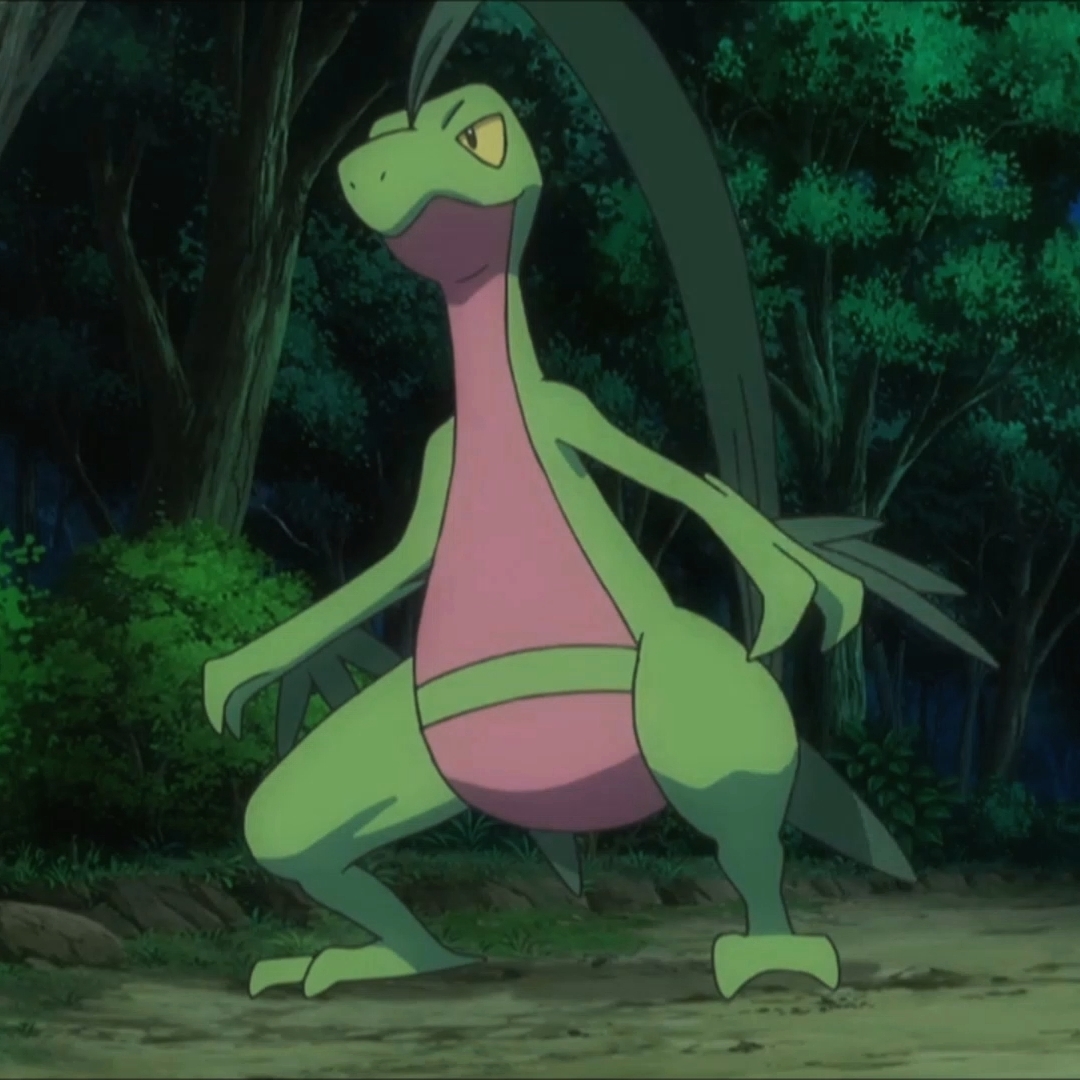 Groveyle Pokemon XY-Grovyle 1 by GiuseppeDiRosso on DeviantArt