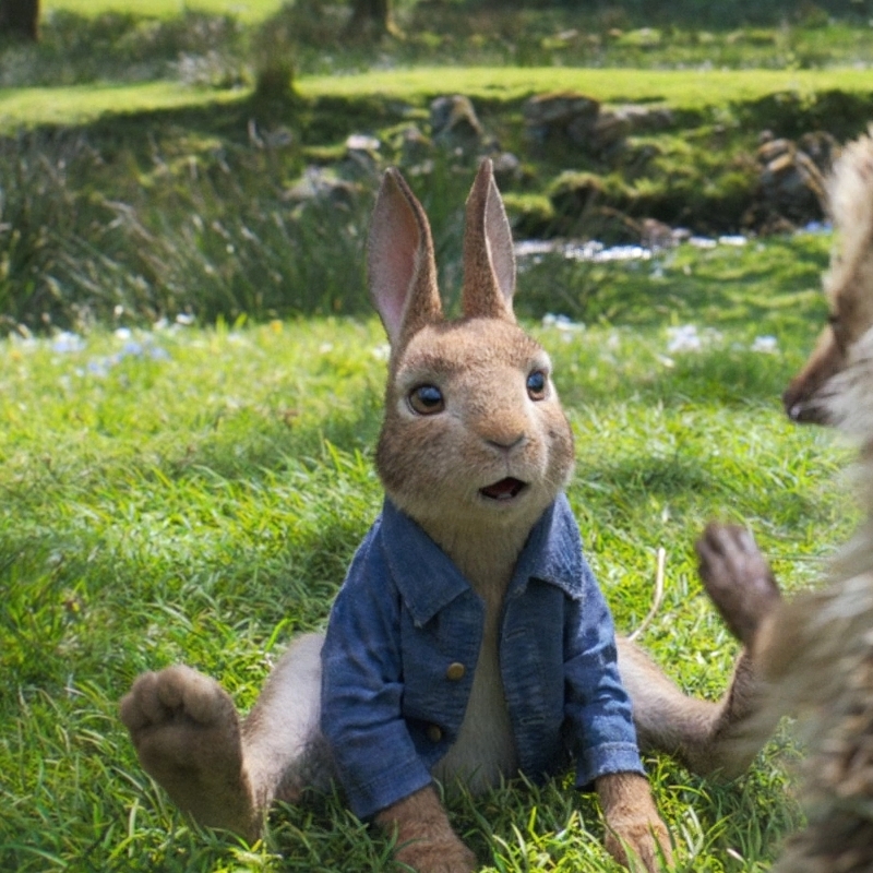 PeterRabbit2018-Peter Rabbit by GiuseppeDiRosso on DeviantArt