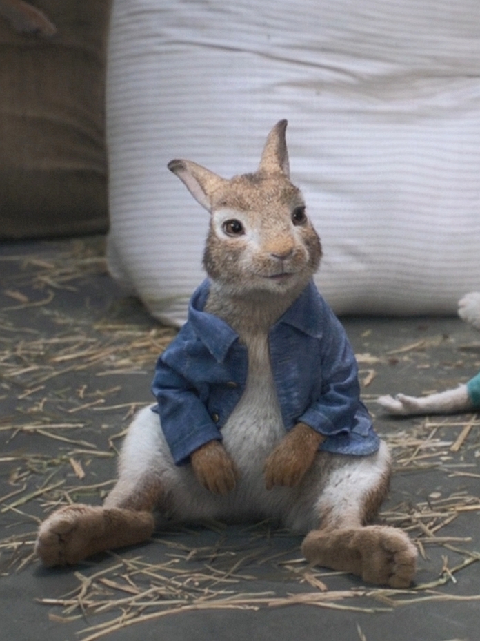 PeterRabbit2018-Peter Rabbit 1 by GiuseppeDiRosso on DeviantArt