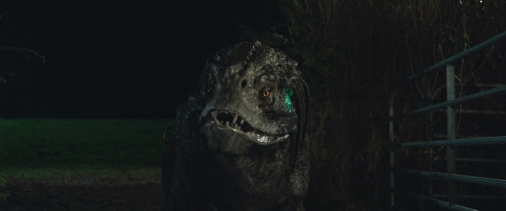 pics Predator 2018 Predators Dog thepredator2018 predator dog 1 by