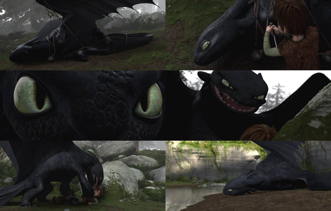 Train Your Dragon 1-Toothless Montage by GiuseppeDiRosso on DeviantArt