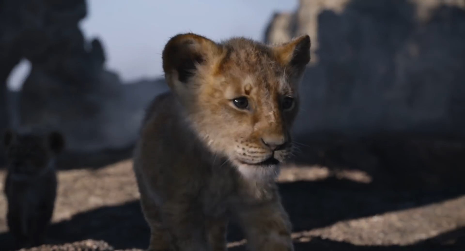Simba 3 The Lion King-Simba 3 by GiuseppeDiRosso on DeviantArt
