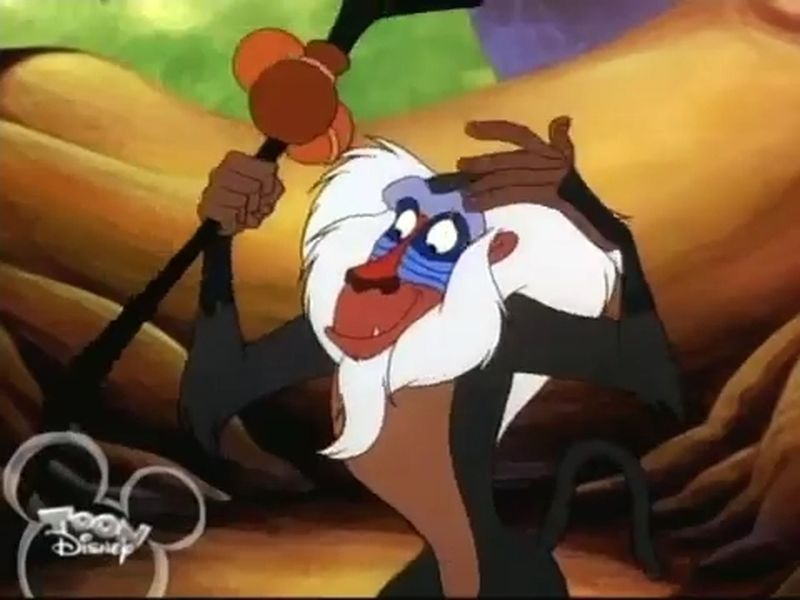 Timon Pumbaa E2b-Rafiki 2 by GiuseppeDiRosso on DeviantArt