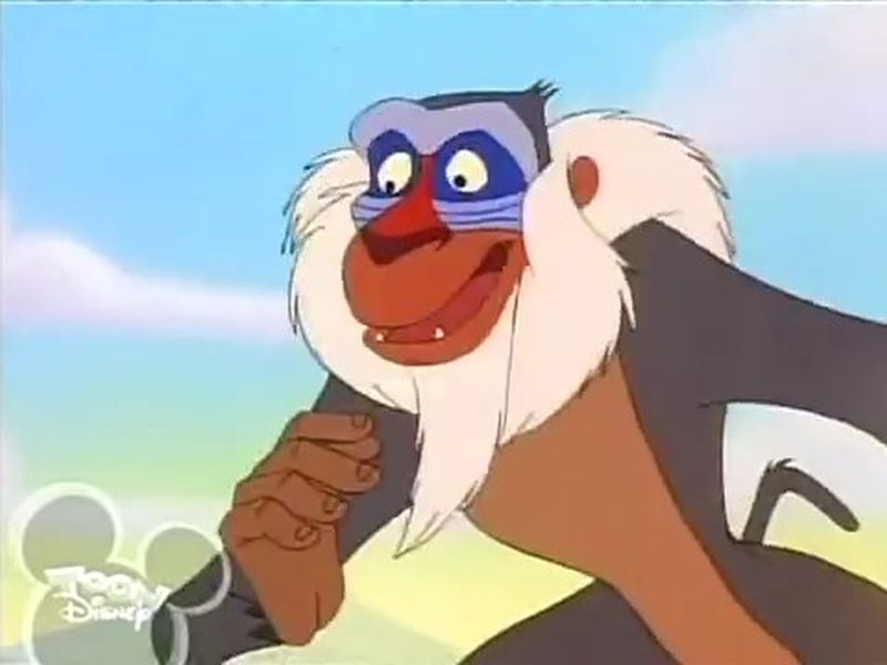 Timon Pumbaa E12b-Rafiki 4a by GiuseppeDiRosso on DeviantArt