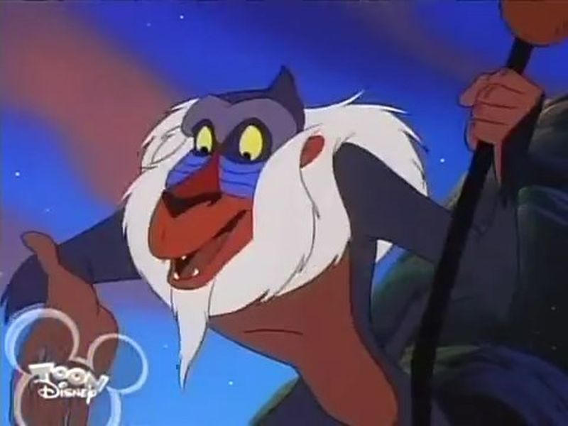 Timon Pumbaa E12b-Rafiki 12 by GiuseppeDiRosso on DeviantArt