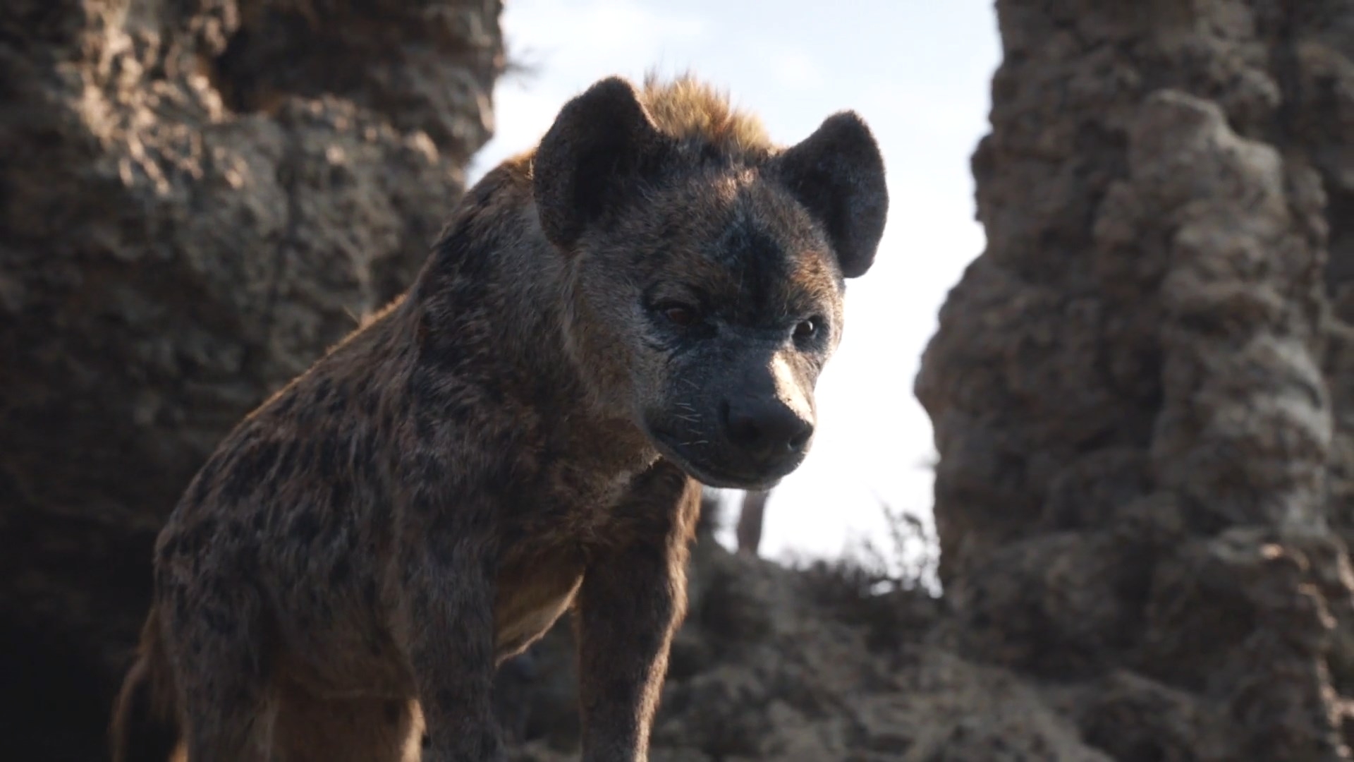 Thelionking19 Shenzi 1 By Giuseppedirosso On Deviantart Thelionking19 Shenzi 1 By Giuseppedirosso On Deviantart