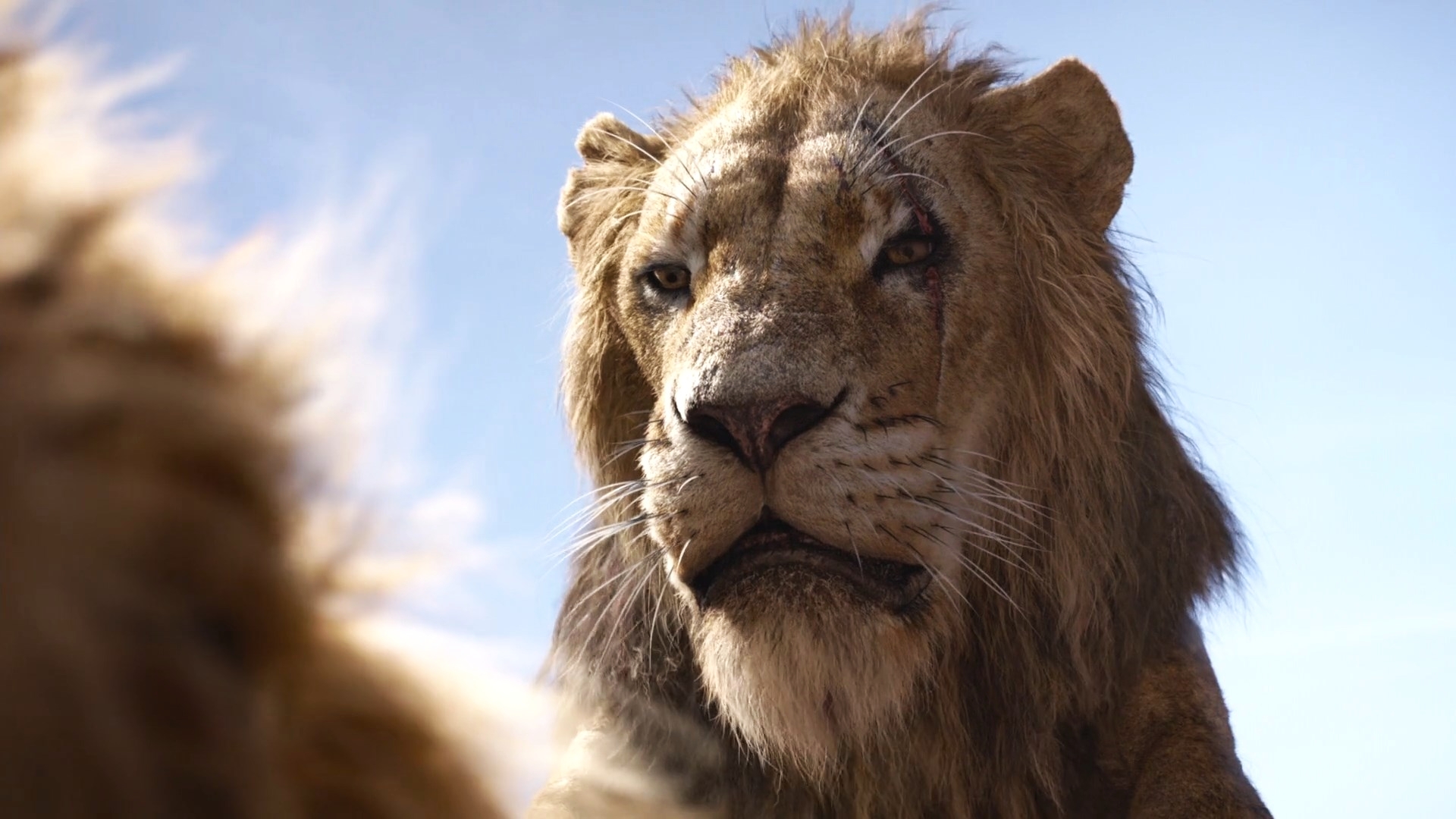 Thelionking19 Scar 5 By Giuseppedirosso On Deviantart Thelionking19 Scar 5 By Giuseppedirosso On Deviantart