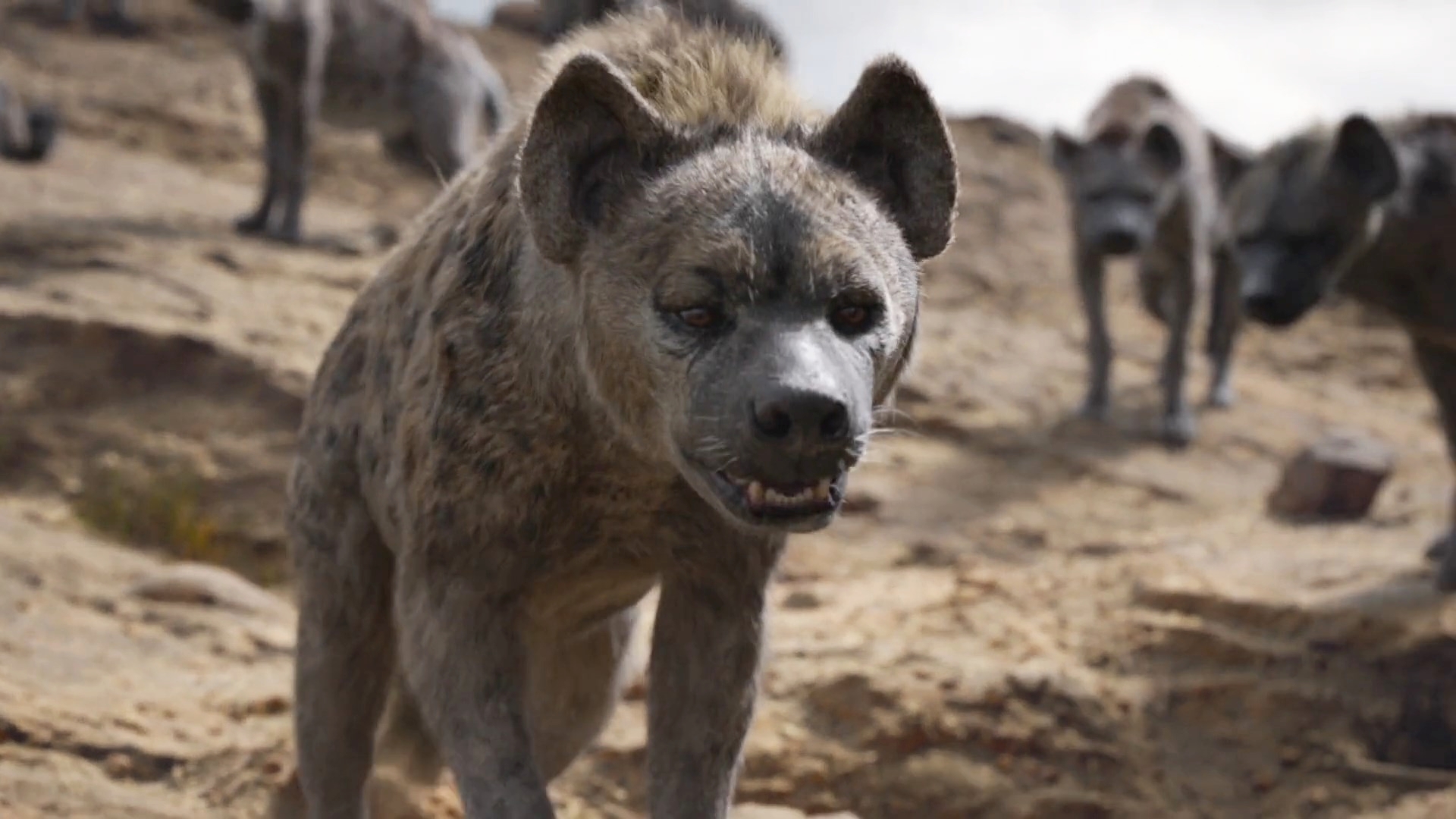 Thelionking19 Shenzi 3 By Giuseppedirosso On Deviantart Thelionking19 Shenzi 3 By Giuseppedirosso On Deviantart