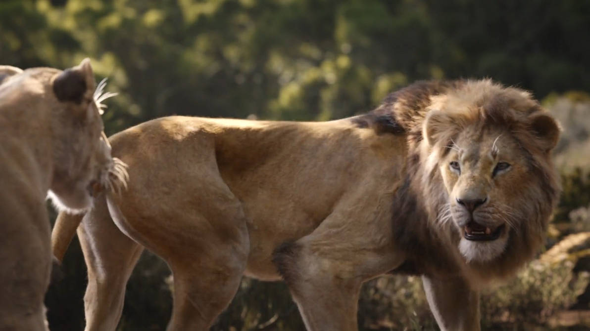 TheLionKing2019-Simba 1 by GiuseppeDiRosso on DeviantArt