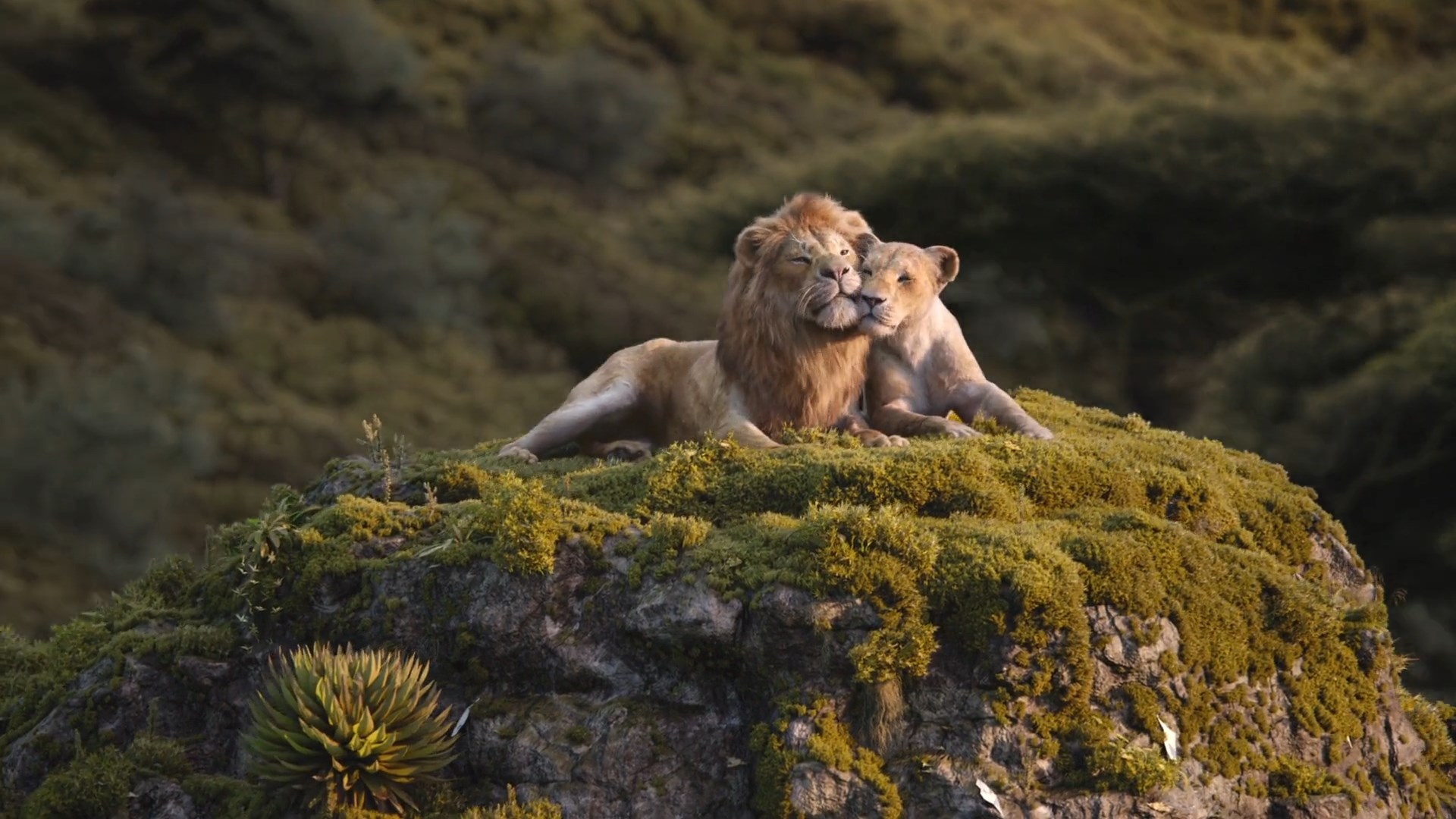 Thelionking19 Nala Simba 3 By Giuseppedirosso On Deviantart Thelionking19 Nala Simba 3 By Giuseppedirosso On Deviantart