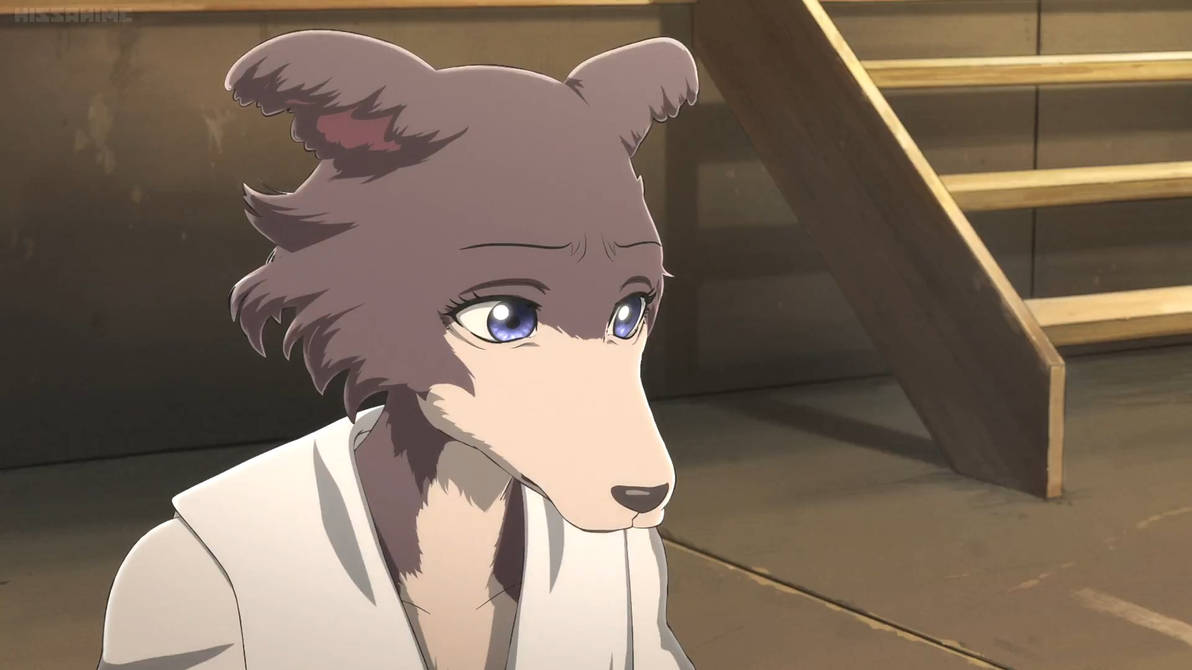 Beastars S1 E7-Juno 1 by GiuseppeDiRosso on DeviantArt