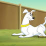 Krypto the Superdog S1 E2-Krypto 1