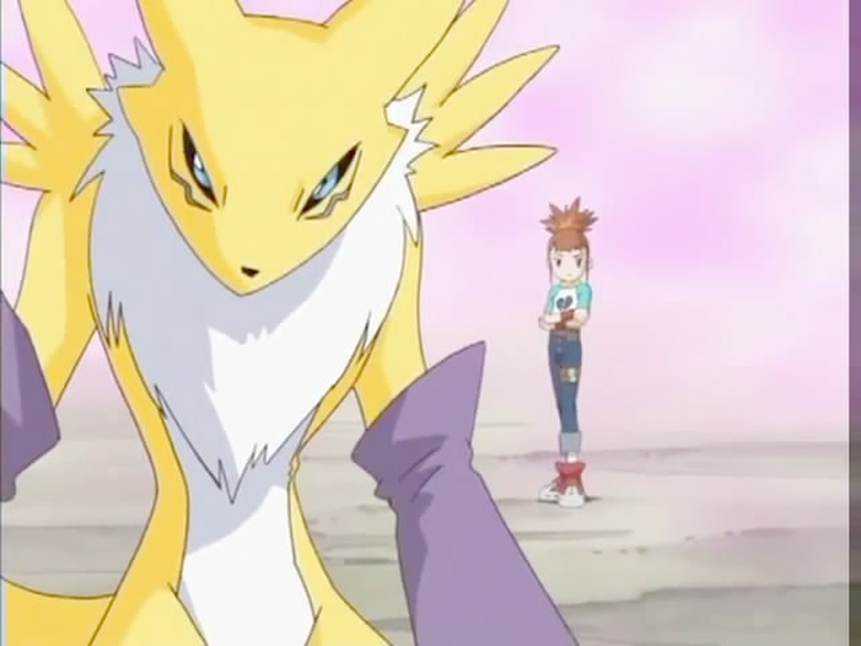 Digimon Renamon R Digimon Tamers-Renamon by GiuseppeDiRosso on DeviantArt