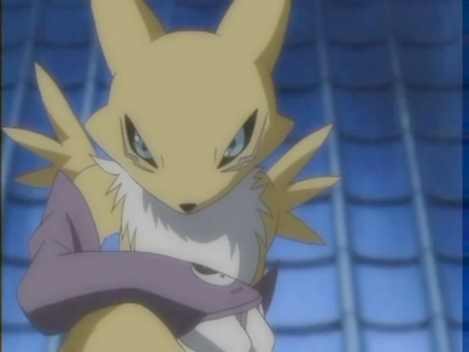Digimon Renamon R Digimon Tamers Renamon