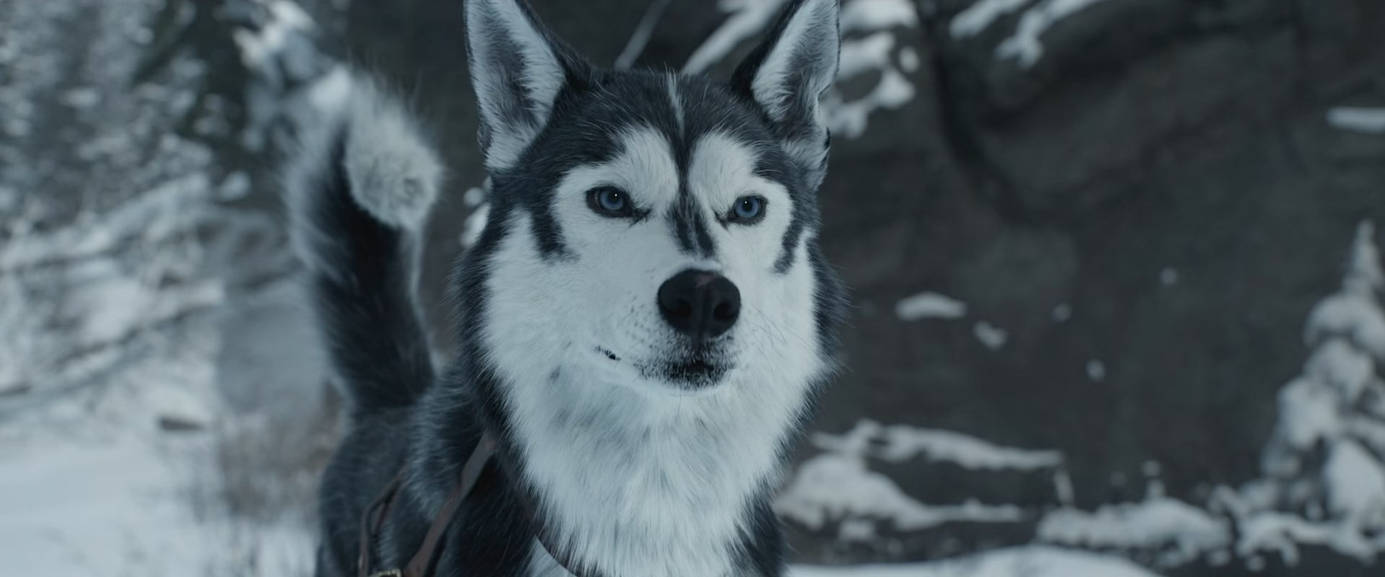 The Call of the Wild фильм